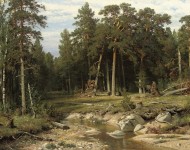 Сосновый лес в Вятской губернии