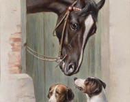 Лошадь и собаки